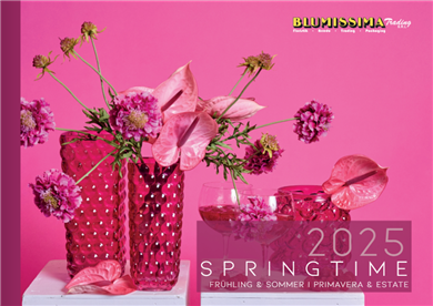 Catalogo Primavera&Estate 2025