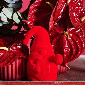 # Trend Frozen Burgundy