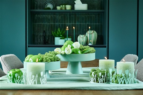 # Trend Mint Harmony