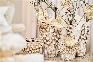Trend Buttercream Pearl