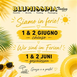 Chiusi per ferie