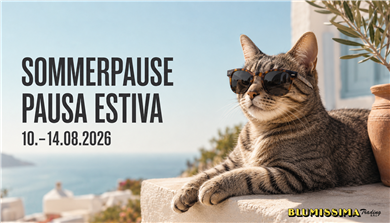 10 - 14 agosto 2026